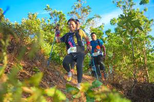 BIB: 508
                            <button type="button" onclick="openModal(21842179)" class="btn btn-primary btn-sm float-right btn-popup" data-toggle="modal" data-target=".modal-high-quality">
                        <i class="fas fa-shopping-cart"></i> Add to Cart
                    </button>
                                            <button type="button" onclick="isThisMe(21842179, true)" class="btn btn-success btn-sm float-right btn-popup btn-isme hidden" data-toggle="tooltip" data-placement="bottom" title="นี่คือรูปของคุณใช่ไหม คลิกที่นี่เพื่อเอาเข้าอัลบั้ม">
                        <i class="fas fa-plus"></i> Add to album
                    </button>
                    <button type="button" onclick="isThisMe(21842179, false)" class="btn btn-warning btn-sm float-right btn-popup btn-isnotme hidden">
                        <i class="fas fa-ban"></i> Remove from album
                    </button>